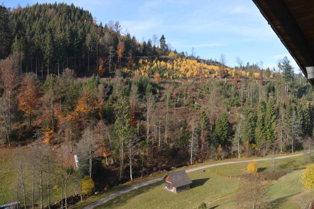 Landhaus Eickler Baiersbronn Bagian luar foto
